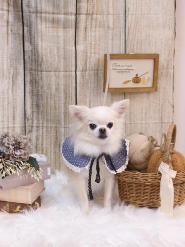 20241003りゅうくん